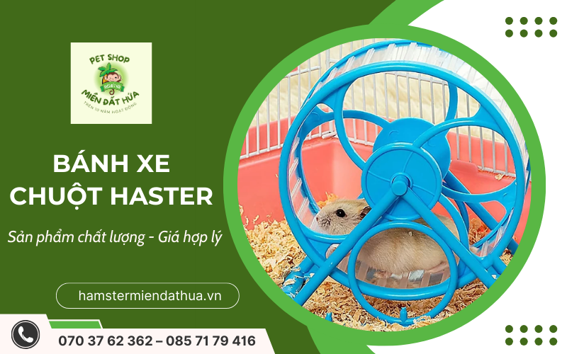 bánh xe chuột hamster