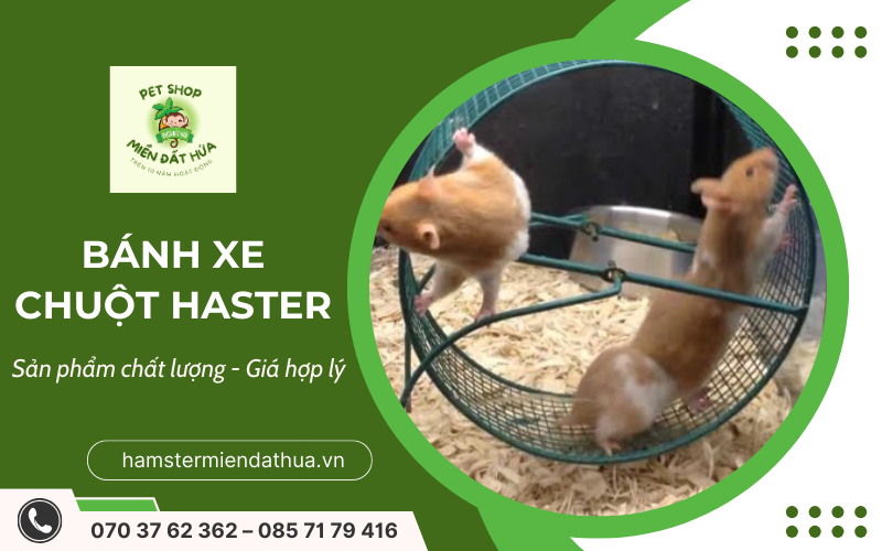 bánh xe chuột hamster