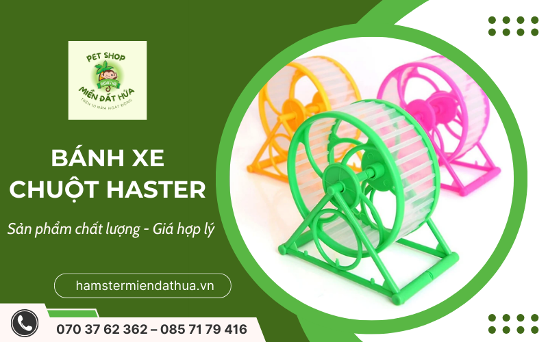 bánh xe chuột hamster