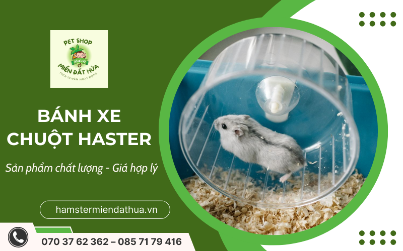 bánh xe chuột hamster