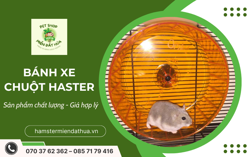 bánh xe chuột hamster