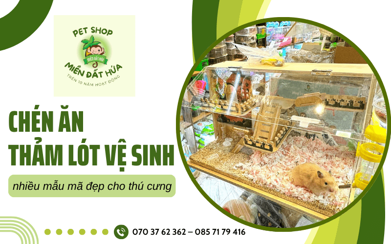 thảm lót vệ sinh