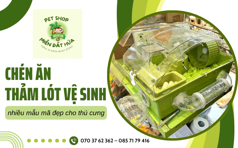 thảm lót vệ sinh