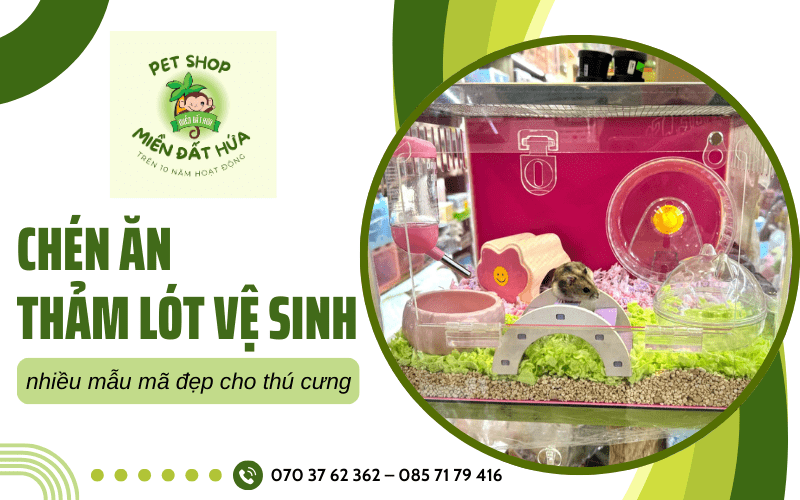 thảm lót vệ sinh