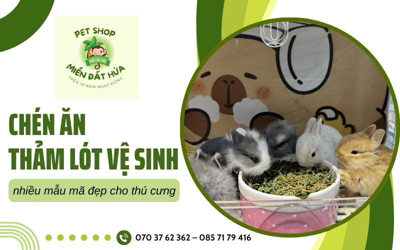 thảm lót vệ sinh