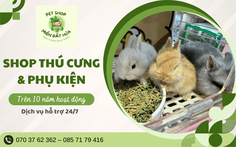 Pet shop Miền Đất Hứa