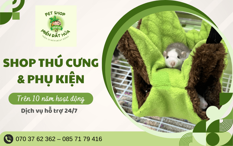 Pet shop Miền Đất Hứa