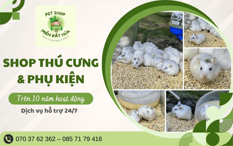 Pet shop Miền Đất Hứa