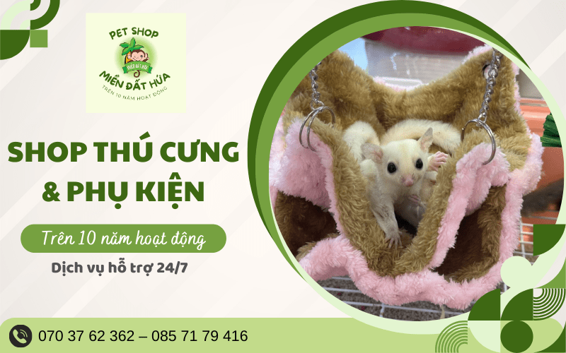 Pet shop Miền Đất Hứa