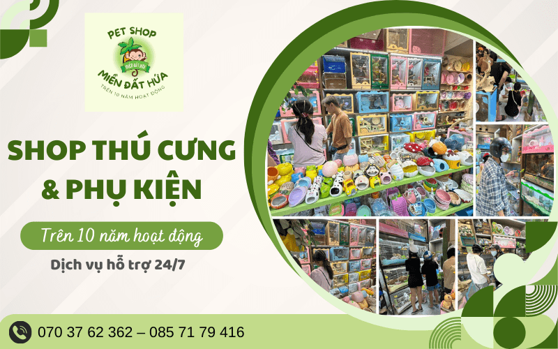 Pet shop Miền Đất Hứa