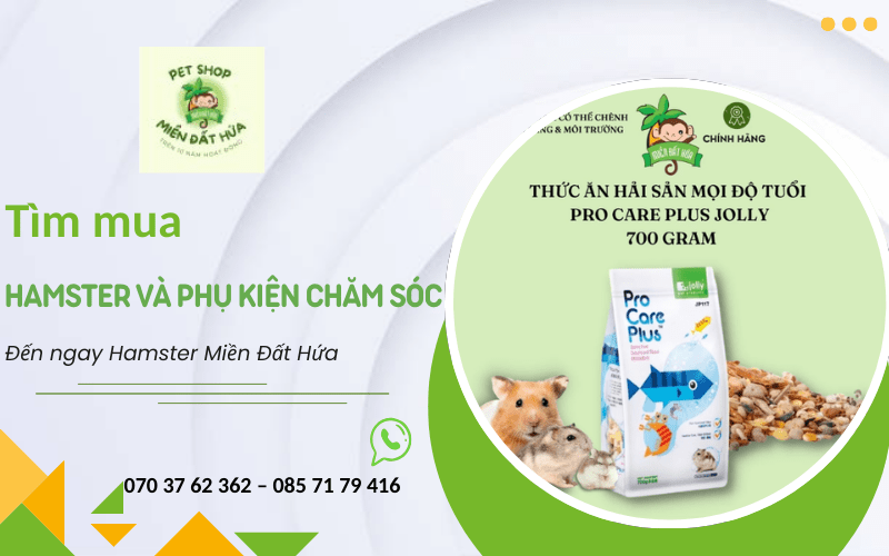 hamster và phụ kiện chăm sóc