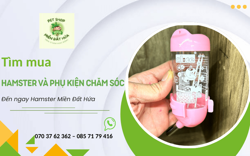 hamster và phụ kiện chăm sóc