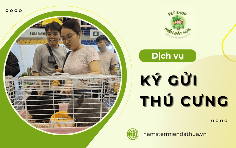 dịch vụ ký gửi thú cưng