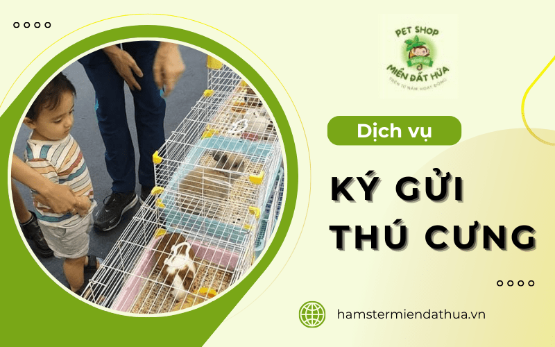 dịch vụ ký gửi thú cưng