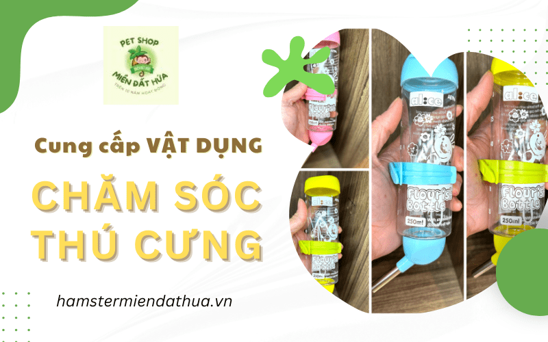 vật dụng chăm sóc thú cưng