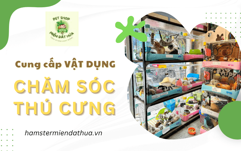 vật dụng chăm sóc thú cưng