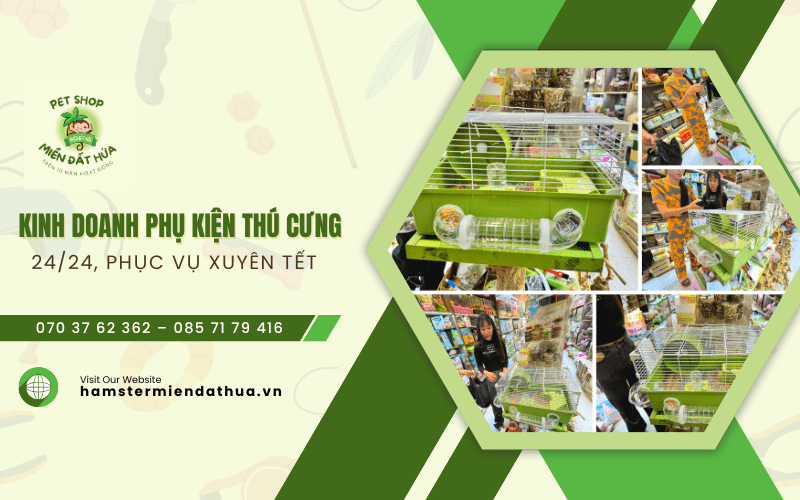 phụ kiện thú cưng