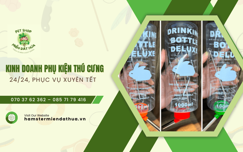 phụ kiện thú cưng