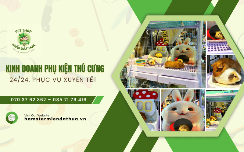 phụ kiện thú cưng