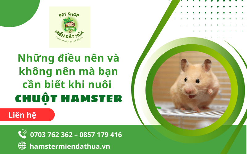 nuôi chuột hamster