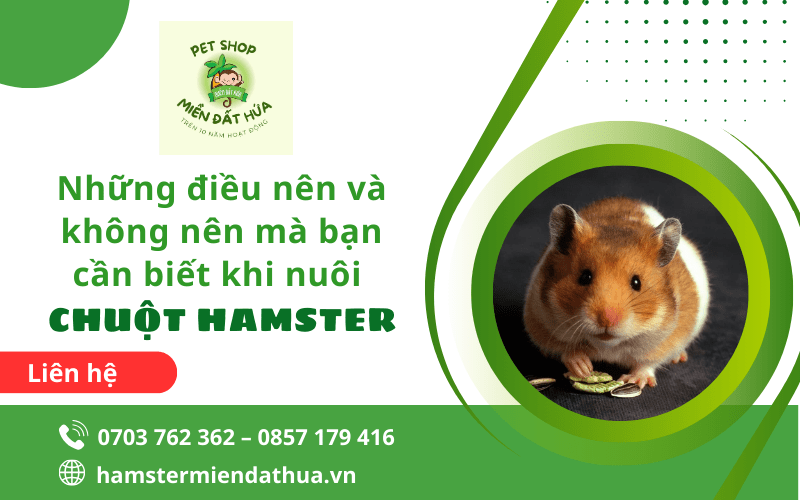 nuôi chuột hamster