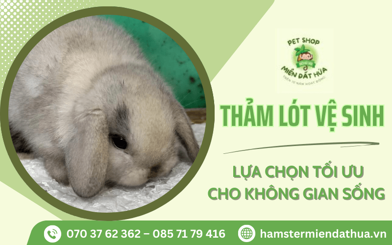 Thảm lót vệ sinh