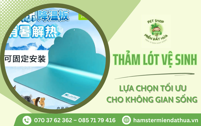 Thảm lót vệ sinh