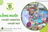 Lựa chọn lồng nuôi Hamster và chuột Rat - Phù hợp, tiện ích, giá tốt