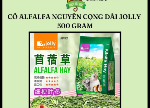 Thức ăn thỏ bọ - Cỏ khô alfalfa nguyên cọng dài chính hãng Jolly 500 gram dành cho thỏ, bọ, chinchilla