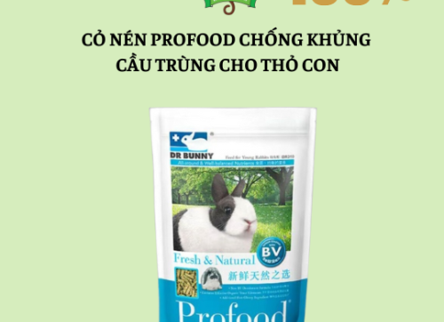 Thức ăn thỏ, bọ - Cỏ nén Profood chống khuẩn cầu trùng, chống tiêu chảy dành cho thỏ con 1 KG