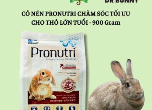 Cỏ nén thỏ bọ - Cỏ nén Pronutri cho thỏ lớn tuổi trên 4 tuổi hỗ trợ tiêu hóa & tăng sức khỏe, dưỡng lông.