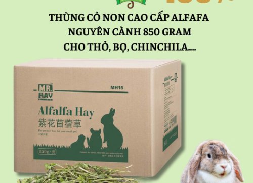 Thức ăn thỏ bọ - Thùng cỏ non Alfafa Hay cao cấp chính hãng Mr Hay 850 Gram dành cho thỏ, bọ, chinchila, sóc bắc mỹ..