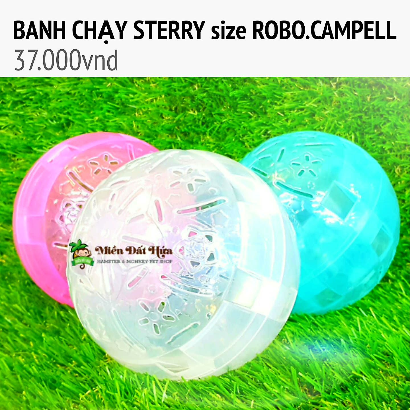 banh chạy steery size robo campell