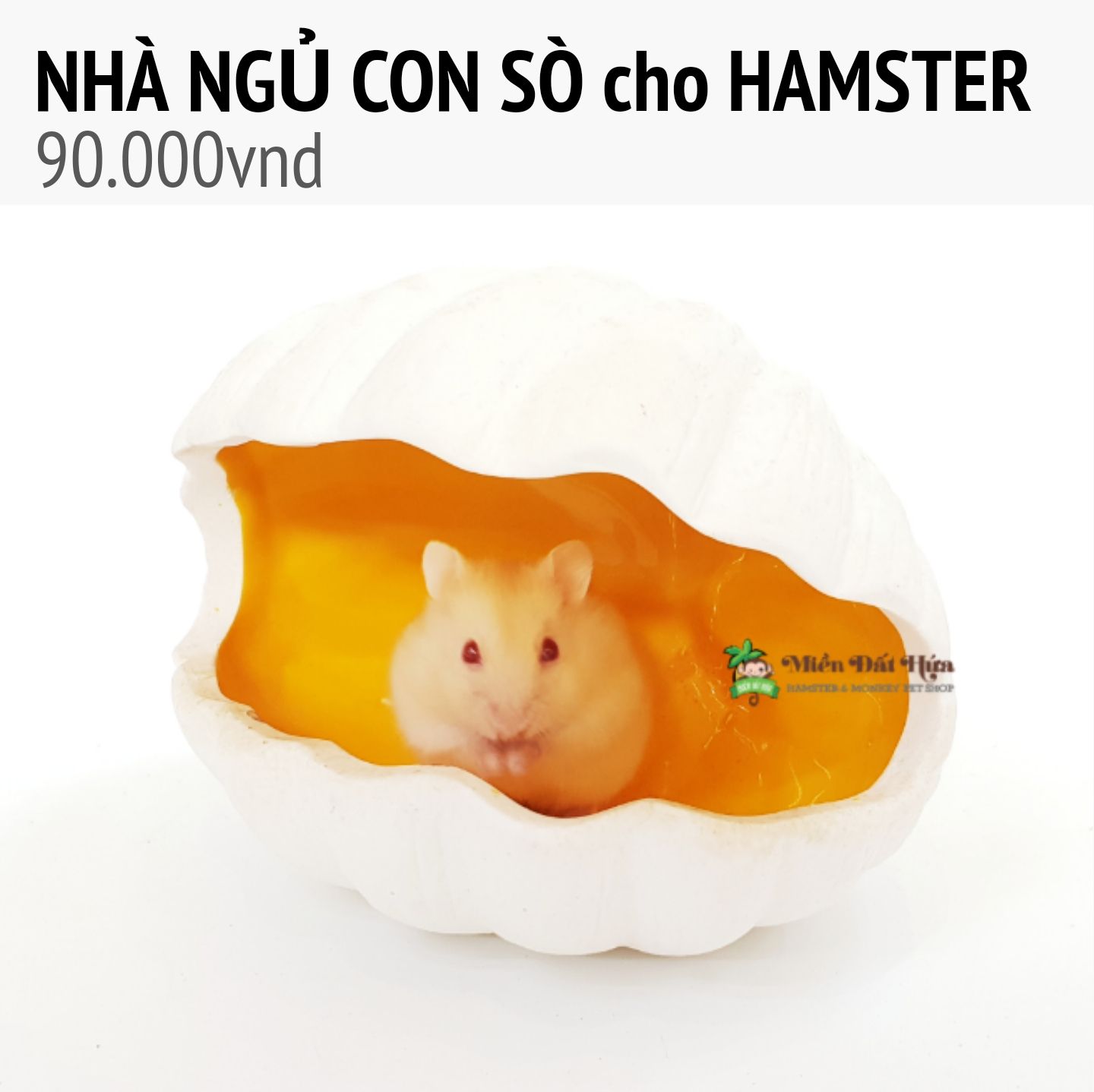 NHÀ NGỦ SỨ con sò cho hamster