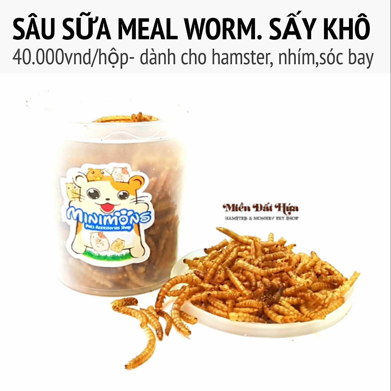 Sâu sữa meal worm sấy khô – Hủ nhỏ