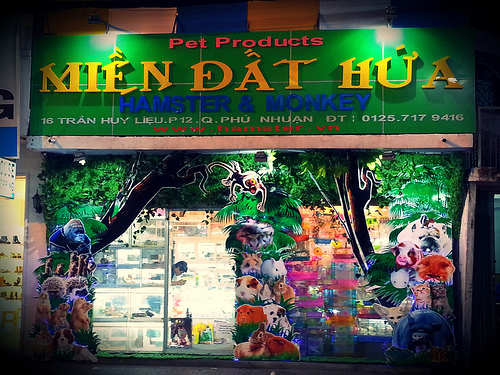 hamster-shop-mien-dat-hua-phu-nhuan