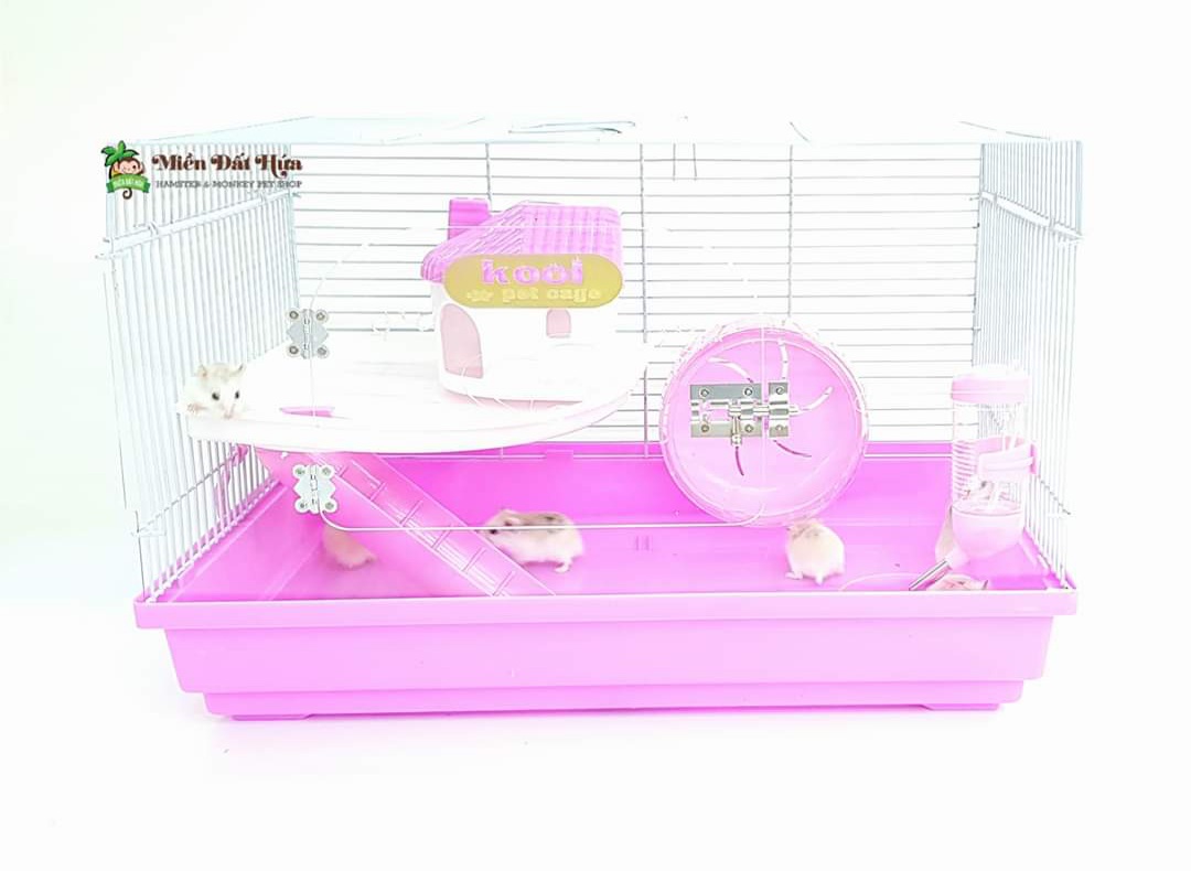 Lồng trong suốt big size kool-pet cage 1